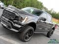 Agate Black - F150 Shelby Off-Road SuperCrew 4x4 Photo No. 41