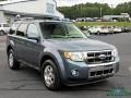 2012 Steel Blue Metallic Ford Escape Limited  photo #7