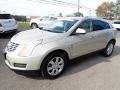 Silver Coast Metallic - SRX Luxury AWD Photo No. 8