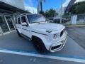 Polar White - G 63 AMG Photo No. 10