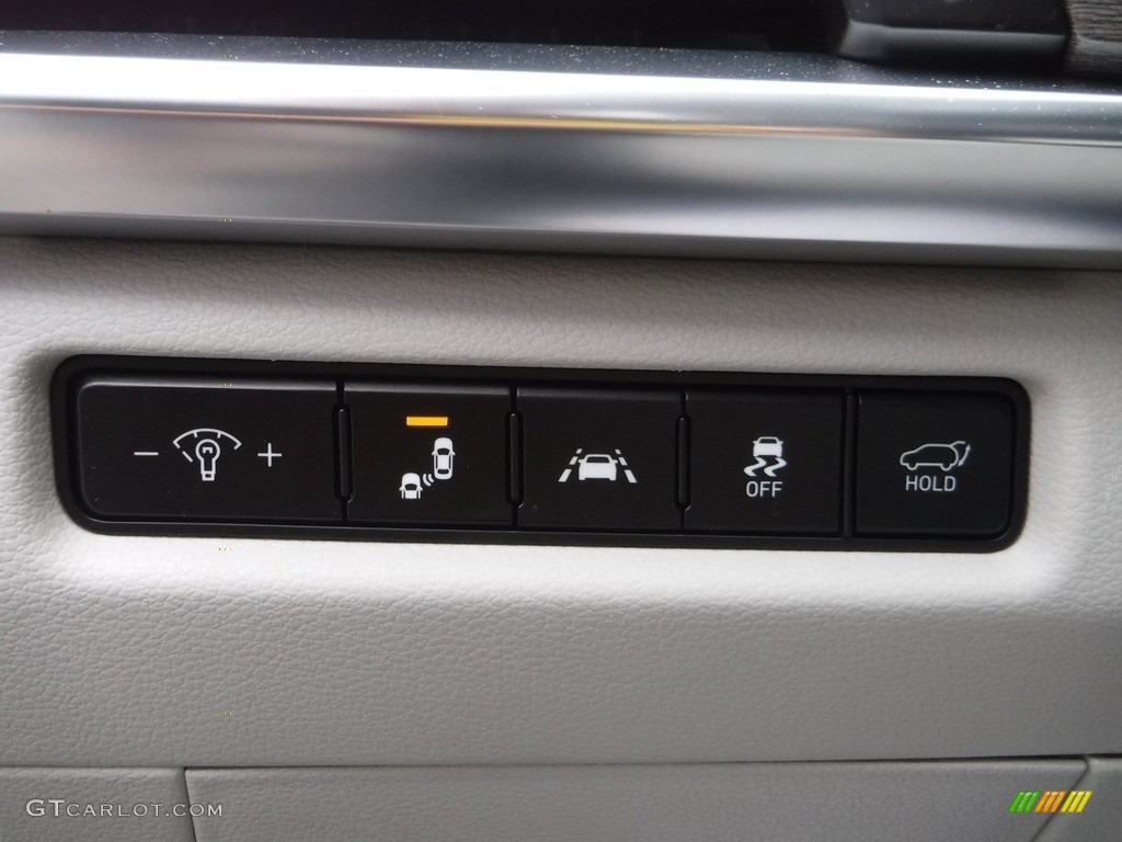 2022 Telluride EX AWD - Gravity Gray / Gray photo #15