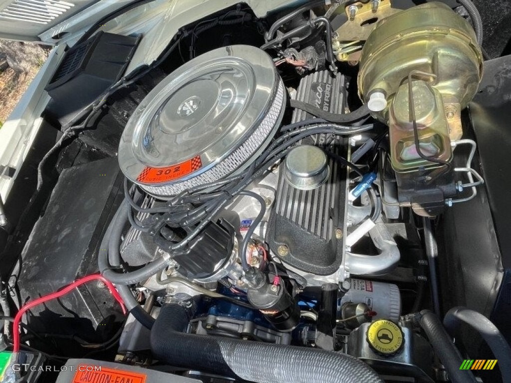1969 Ford Bronco Sport Wagon 302 cid OHV 16-Valve V8 Engine Photo #142923649