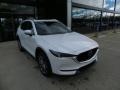 Snowflake White Pearl Mica - CX-5 Signature AWD Photo No. 1