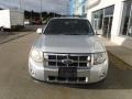 Ingot Silver Metallic - Escape Limited V6 4WD Photo No. 4