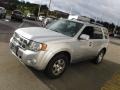 Ingot Silver Metallic - Escape Limited V6 4WD Photo No. 5