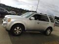Ingot Silver Metallic - Escape Limited V6 4WD Photo No. 6