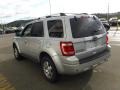 Ingot Silver Metallic - Escape Limited V6 4WD Photo No. 8