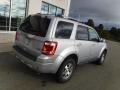 Ingot Silver Metallic - Escape Limited V6 4WD Photo No. 11