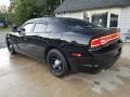 Pitch Black - Charger Police Photo No. 7