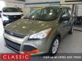 2014 Ginger Ale Ford Escape S  photo #1