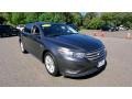Magnetic 2016 Ford Taurus SE Exterior