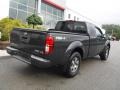 Night Armor - Frontier Pro-4X King Cab 4x4 Photo No. 17