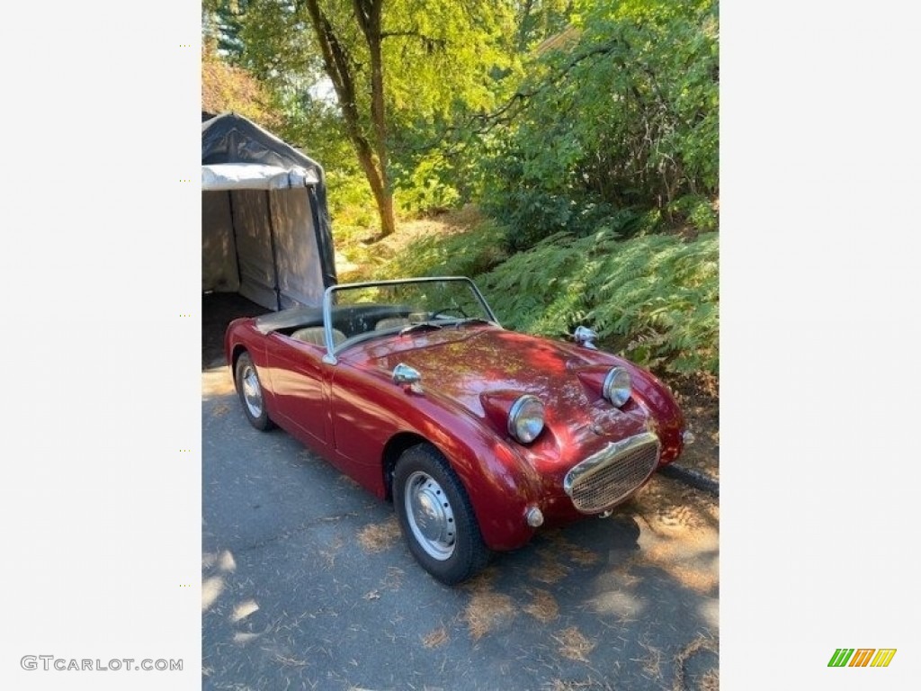 1959 Austin-Healey Sprite Roadster Exterior Photos