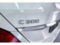 Polar White - C 300 Sedan Photo No. 31