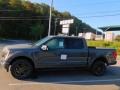 Lead Foot - F150 XLT SuperCrew 4x4 Photo No. 6