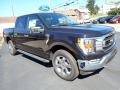 Agate Black - F150 XLT SuperCrew 4x4 Photo No. 7