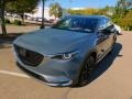 Polymetal Gray - CX-9 Carbon Edition AWD Photo No. 7