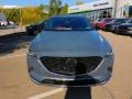 Polymetal Gray - CX-9 Carbon Edition AWD Photo No. 8