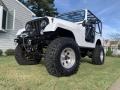 Olympic White - CJ7 4x4 Photo No. 30