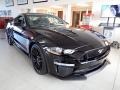 2018 Shadow Black Ford Mustang GT Premium Fastback  photo #9