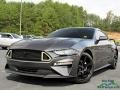 2019 Magnetic Ford Mustang EcoBoost Premium Fastback  photo #1