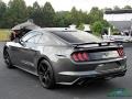 2019 Magnetic Ford Mustang EcoBoost Premium Fastback  photo #3