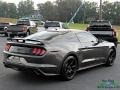 2019 Magnetic Ford Mustang EcoBoost Premium Fastback  photo #5