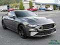 2019 Magnetic Ford Mustang EcoBoost Premium Fastback  photo #7