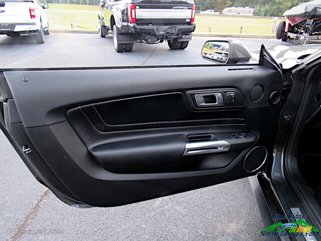 2019 Mustang EcoBoost Premium Fastback - Magnetic / Ebony photo #10