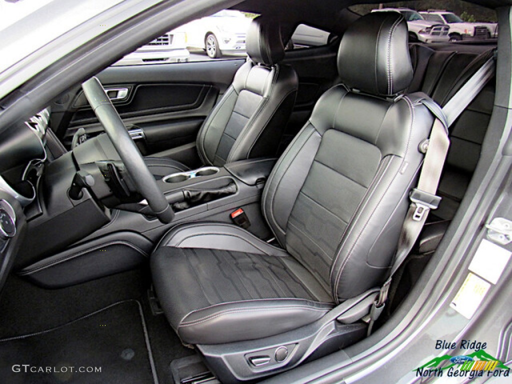 2019 Mustang EcoBoost Premium Fastback - Magnetic / Ebony photo #11