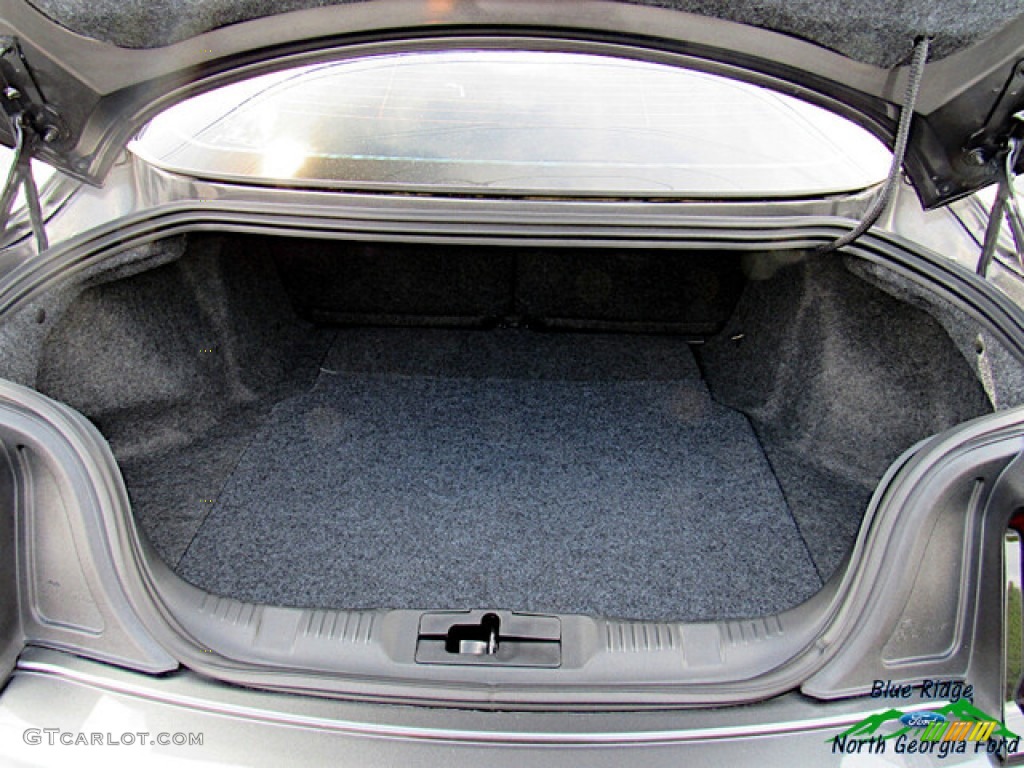 2019 Mustang EcoBoost Premium Fastback - Magnetic / Ebony photo #14