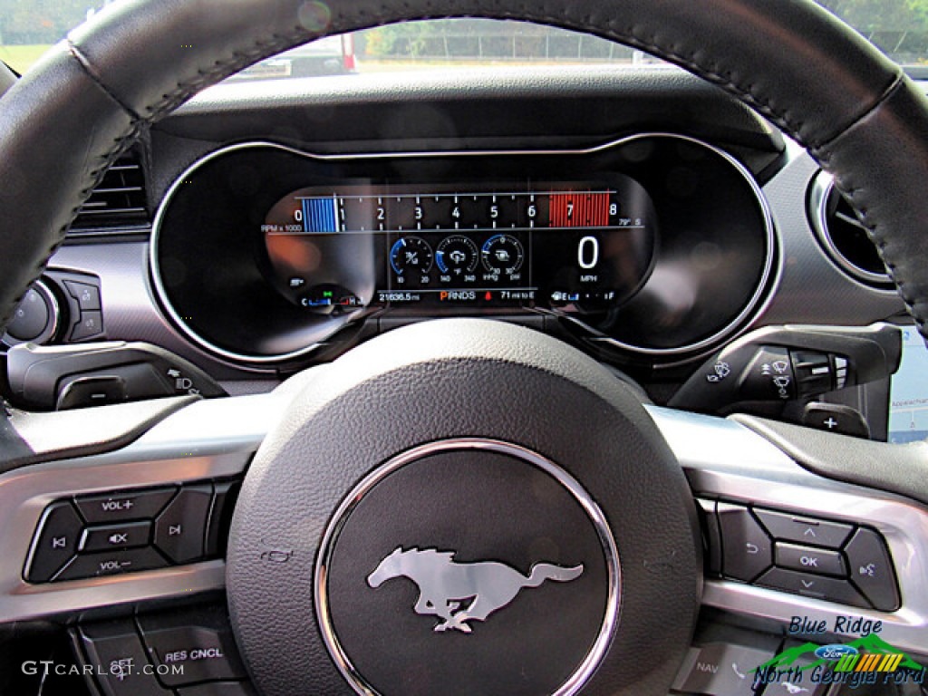2019 Mustang EcoBoost Premium Fastback - Magnetic / Ebony photo #18