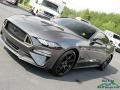 2019 Magnetic Ford Mustang EcoBoost Premium Fastback  photo #27