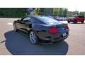 Shadow Black - Mustang EcoBoost Premium Fastback Photo No. 5