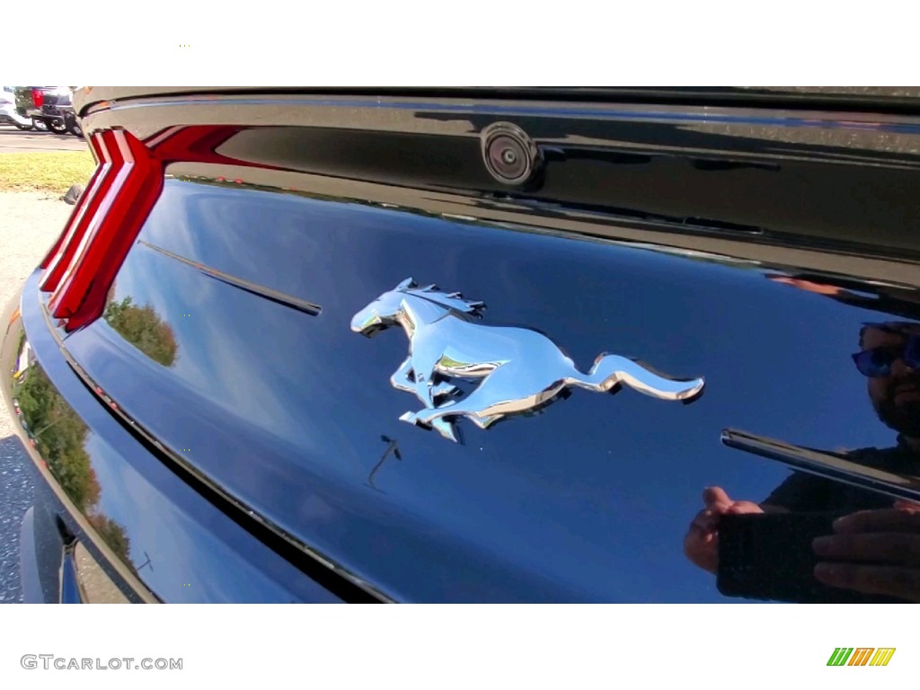 2021 Ford Mustang EcoBoost Premium Fastback Marks and Logos Photo #142991405