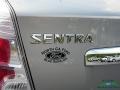 2010 Magnetic Gray Metallic Nissan Sentra 2.0 S  photo #22