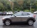 Machine Gray Metallic - CX-30 Preferred AWD Photo No. 6