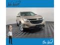 2019 Sandy Ridge Metallic Chevrolet Equinox LT  photo #1