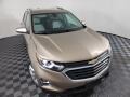 2019 Sandy Ridge Metallic Chevrolet Equinox LT  photo #3