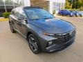 Portofino Gray - Tucson Limited AWD Photo No. 9