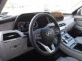 Steel Graphite - Palisade Limited AWD Photo No. 16