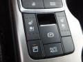 Controls of 2018 Optima SX