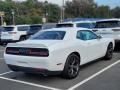 White Knuckle - Challenger R/T Photo No. 2