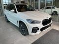 Mineral White Metallic - X5 xDrive40i Photo No. 1