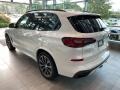 Mineral White Metallic - X5 xDrive40i Photo No. 2