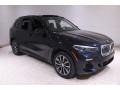 Carbon Black Metallic 2019 BMW X5 xDrive40i