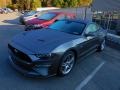 Carbonized Gray Metallic - Mustang GT Premium Fastback Photo No. 6