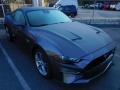 Carbonized Gray Metallic - Mustang GT Premium Fastback Photo No. 8