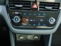 2022 Hyundai Ioniq Hybrid Gray Interior Controls Photo
