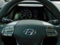 2022 Hyundai Ioniq Hybrid Gray Interior Steering Wheel Photo